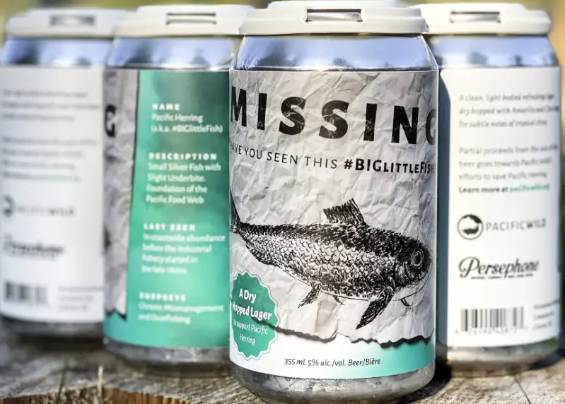 Persephone Brewing Missing - Have You Seen This #BigLittleFish?