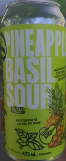 Persephone Brewing Pineapple Basil Sour