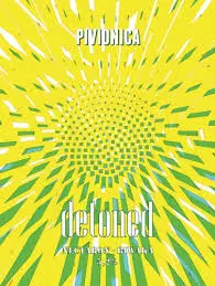 Pivionica Craft Brewery Detoned