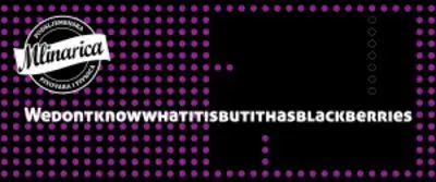 Pivnica i Pivovara Mlinarica WeDontKnowWhatItIsButItHasBlackberries