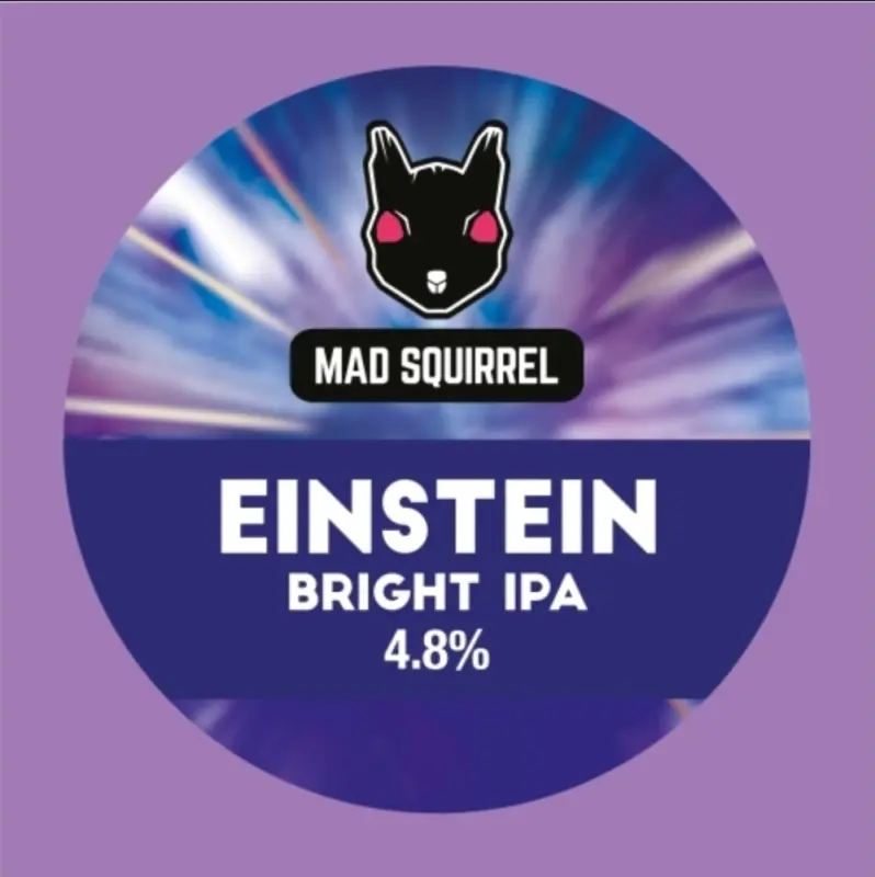 Mad Squirrel Einstein