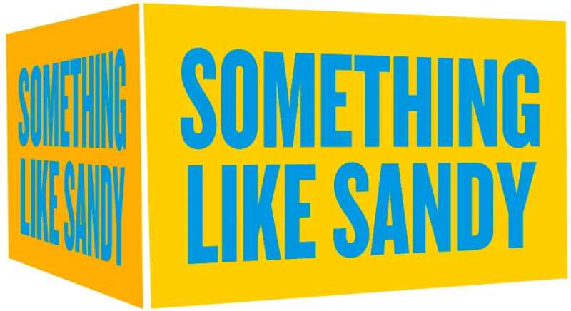 Carton Brewing Something Like Sandy