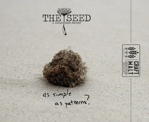 The Seed: A Living Beer Project As Simple As Patterns?