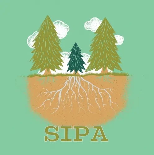 Tonewood Brewing SIPA