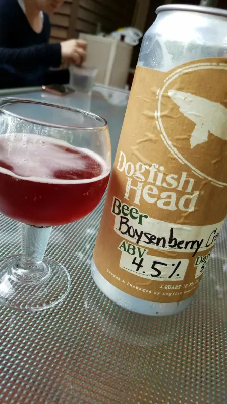 Dogfish Head Craft Brewery Boysenberry Creamsicle Sour
