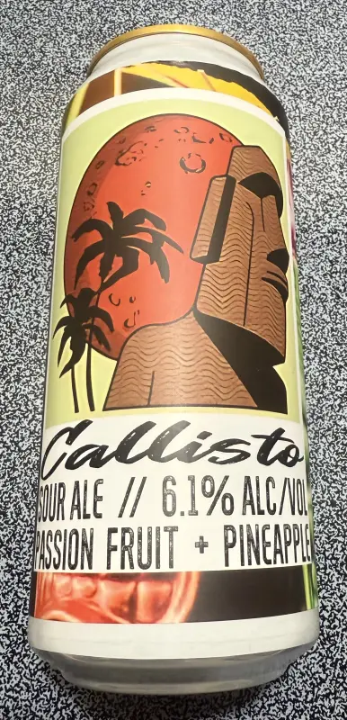 Social Project Brewing Co Callisto