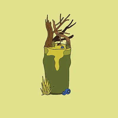 Nano Cinco Swamp