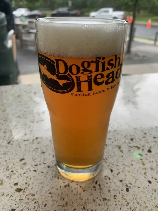 Dogfish Head Craft Brewery No Labels