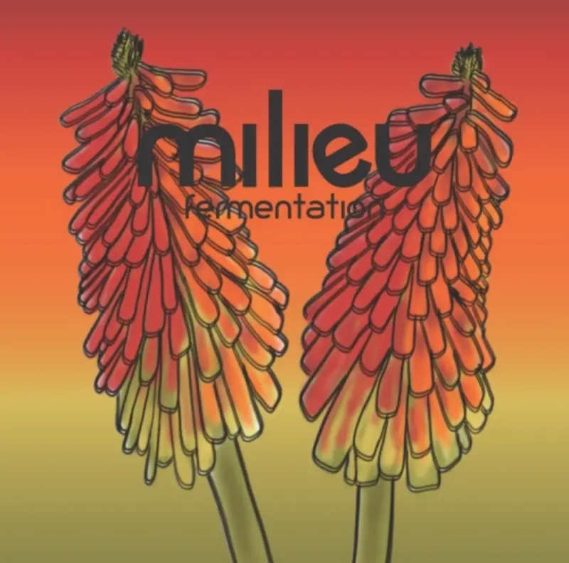Milieu Fermentation Torch Lily