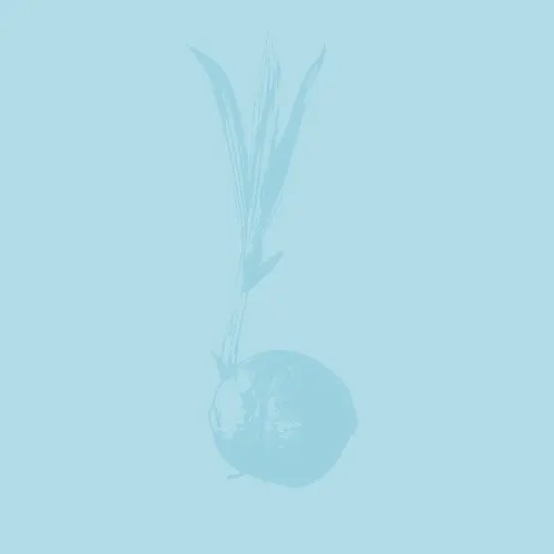 Parish Brewing Company Caribbean Shade