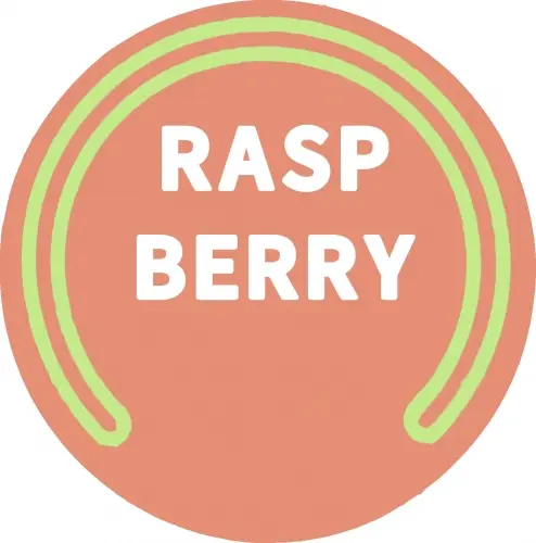 Parish Brewing Company SIPS: Raspberry