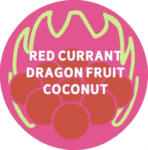 Parish Brewing Company SIPS: Red Currant, Dragon Fruit, & Coconut