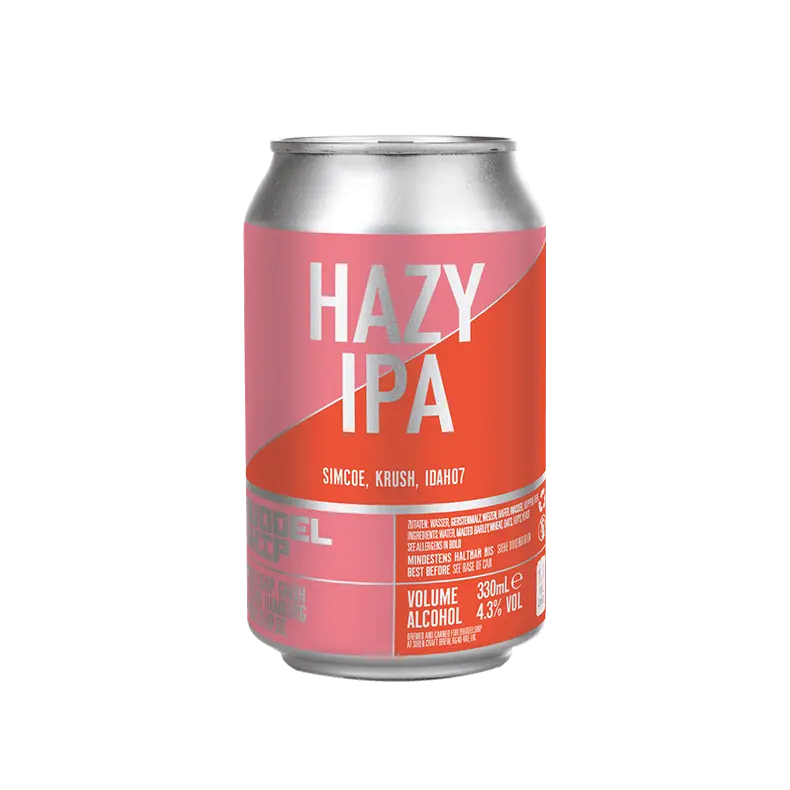 Buddelship Brauerei Hazy IPA