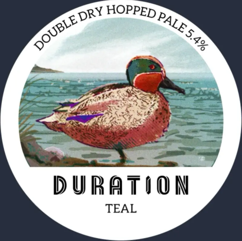 Duration Brewing Teal