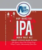 Blue Pants Brewery Hop Bursted IPA