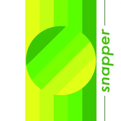 Double Nickel Brewing Snapper