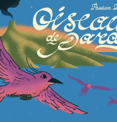La Source Beer Co. Oiseau De Paradis