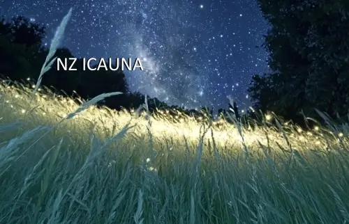 Popihn NZ ICAUNA