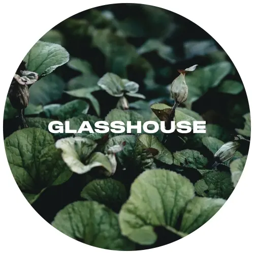 Glasshouse Beer Co Viola
