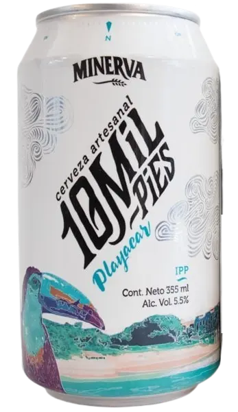 Cerveceria Minerva 10 Mil Pies - Playacar
