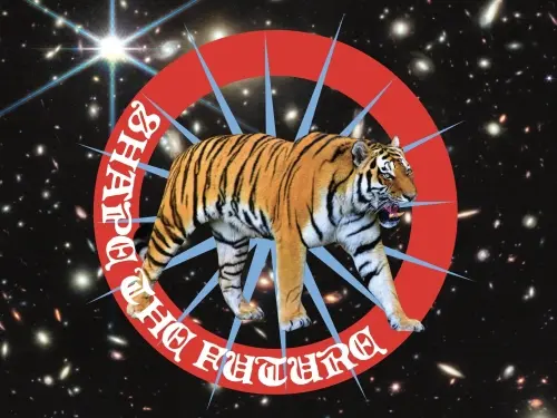 Elmeleven Shape the Future (PULP)