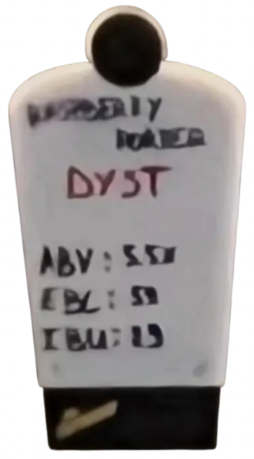 Dyst Brews Raspberry Porter