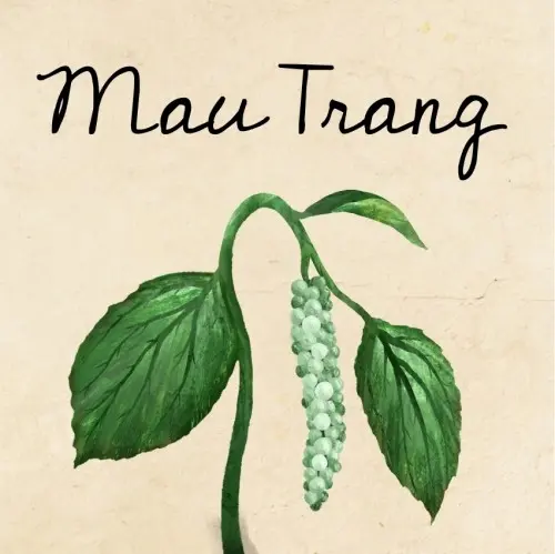 HenkeBier Mau Trang
