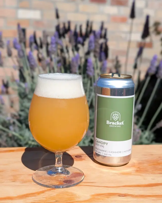 Bracket Brewing Canopy