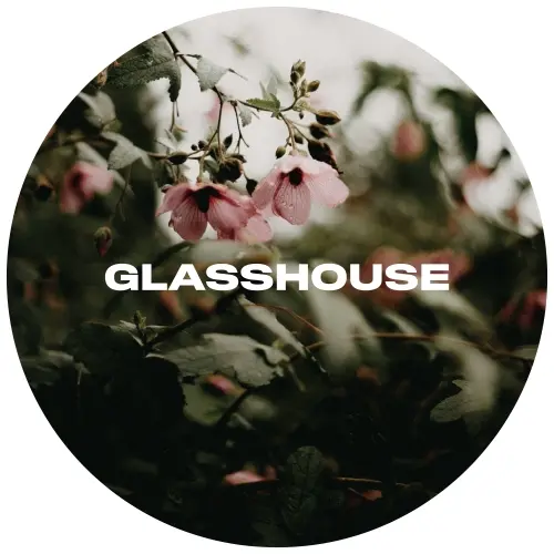 Glasshouse Beer Co Mallow