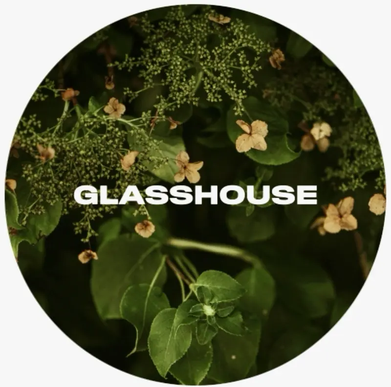 Glasshouse Beer Co Only Wandering