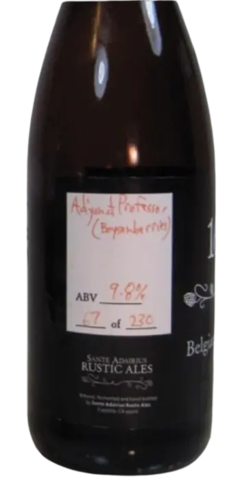 Sante Adairius Rustic Ales Adjunct Professor - Boysenberries