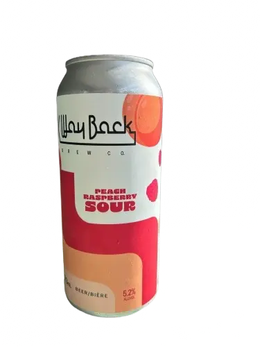Wayback Brew Co. Peach Raspberry Sour