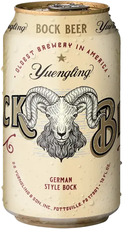Yuengling Brewery Bock Beer (2024)