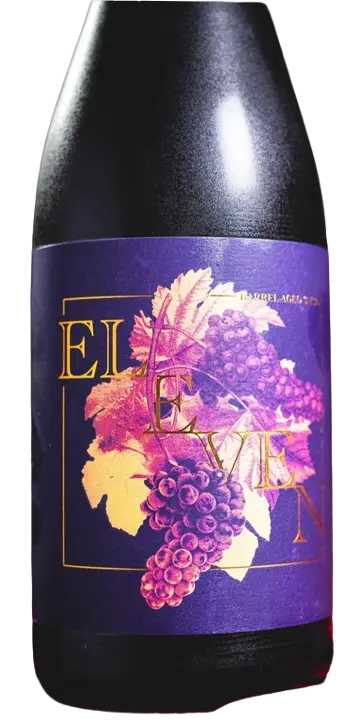 Sante Adairius Rustic Ales Eleven (11)