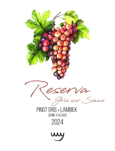 Het Boerenerf Pinot Gris Reserva (2024)