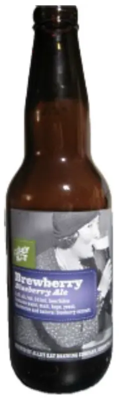 Alley Kat Brewing Company Brewberry Blueberry Ale
