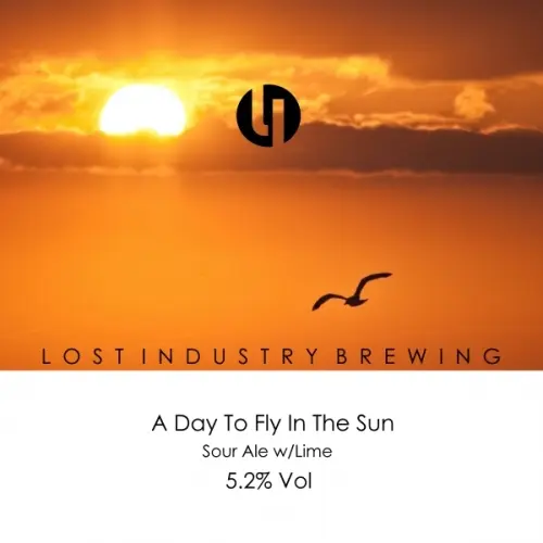 Lost Industry Brewing A Day To Fly In The Sun