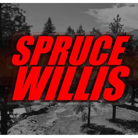 Lost Industry Brewing Spruce Willis