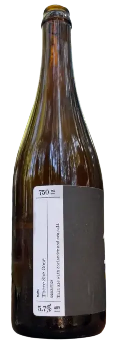 Sante Adairius Rustic Ales There She Gose
