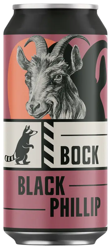 Wild Raccoon Black Phillip