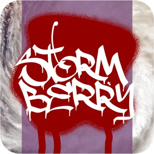 Rising Storm Brewing Company Stormberry
