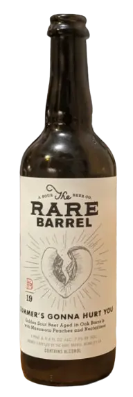 The Rare Barrel Summer's Gonna Hurt You