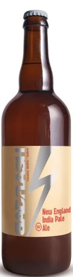 Bad Flash Craft Brewery Fanatic NEIPA