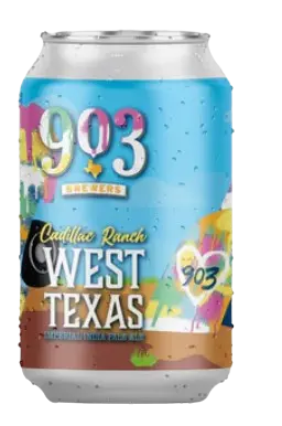 903 Brewers Cadillac Ranch West Texas
