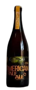 Cervecería Calavera American Pale Ale