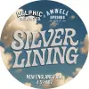 Delphic Brewing Co Silver Lining