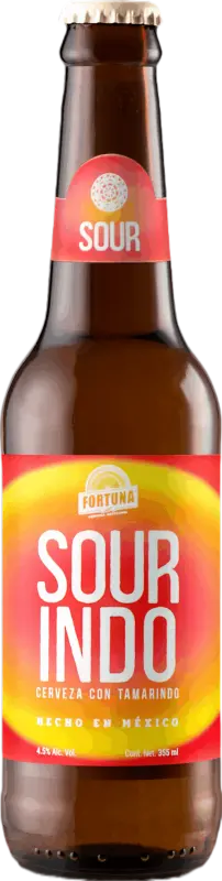 Fortuna Cerveza Artesanal Sourindo