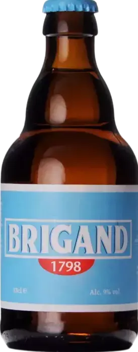 Brouwerij Vanhonsebrouck Brigand Belgian Ale