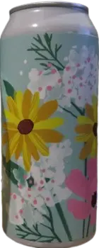 Structures Brewing Company Galaxy IPA