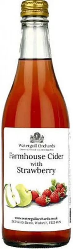 Watergull Orchards Farmhouse Cider with Strawberry